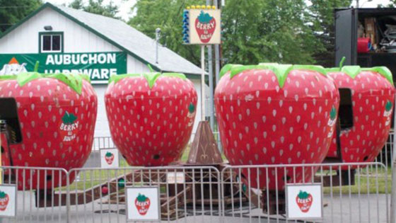 Berry Go Round Berry Go Round