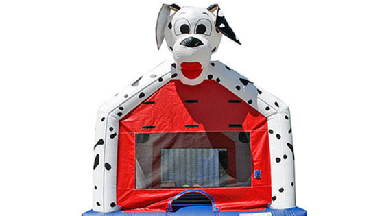 Dalmation Bounce